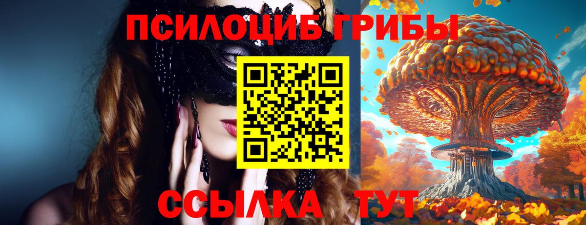Псилоцибиновые грибы ЛСД Берёзовский